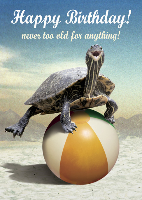 Birthday Turtle Greeting Card by Max Hernn - Click Image to Close